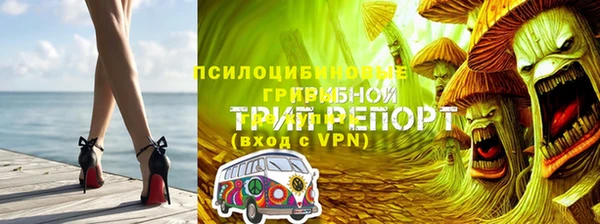 амфетамин Алексеевка