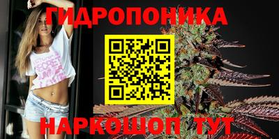 марки nbome Гусь-Хрустальный