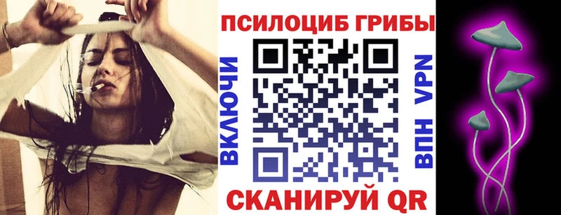Галлюциногенные грибы Psilocybe Ленинск-Кузнецкий