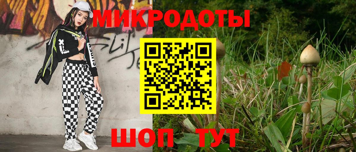 Галлюциногенные грибы мухоморы Ленинск-Кузнецкий